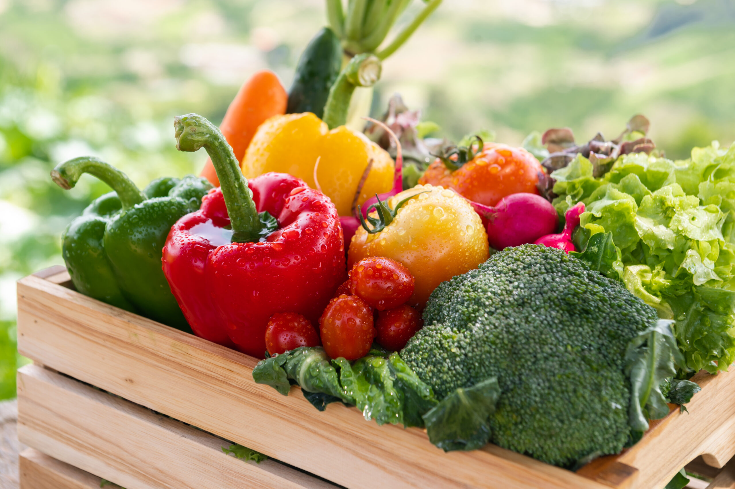 Eine Holzkiste gefüllt mit frischem Gemüse, darunter rote und grüne Paprika, gelbe Paprika, Kirschtomaten, Brokkoli, Salat, Radieschen, Karotten und Gurken, mit Wassertropfen darauf.